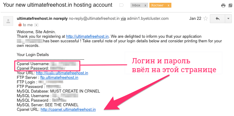Как бесплатно зарегистрировать хостинг и домен за 3 шага