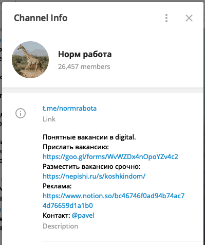 Как найти сотрудников с помощью Telegram: альтернатива сайтам с вакансиями