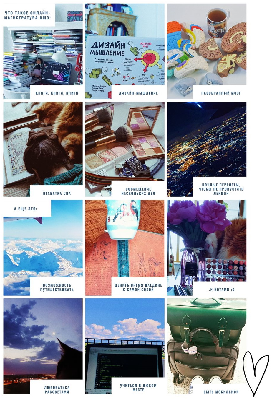 Направление «Высшее образование» Нетологии: стажировки, полезные статьи и отзывы студентов