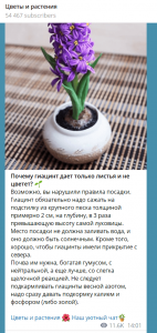 Продвижение в Telegram: аудитория, особенности контента, рекламные форматы