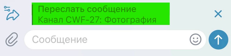 10 фишек Телеграма для экологичного общения по работе и не только